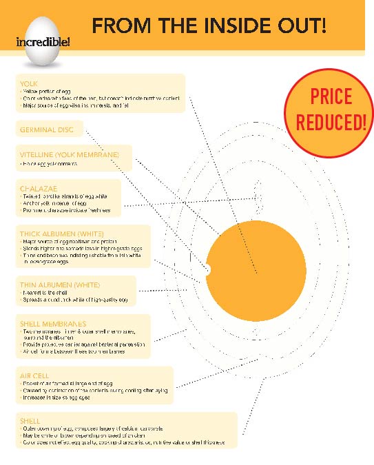 From The Inside Out poster